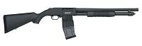 50205