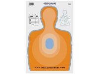 DAOPT12